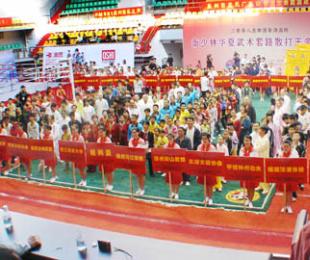 第二届华夏南少林武术大赛领导嘉宾开幕闭幕及颁奖
