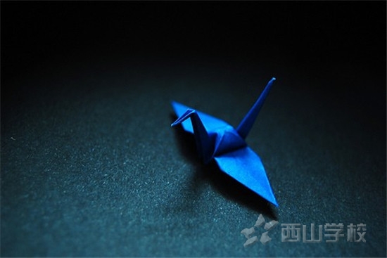 让物理实验成为学生的学习磁铁石