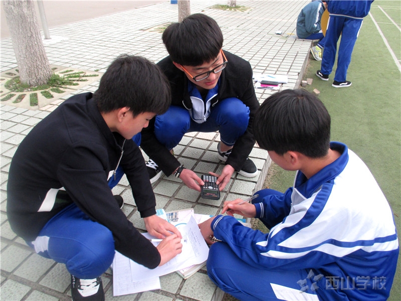 生活中的数学——西山学校初中部数学综合实践活动
