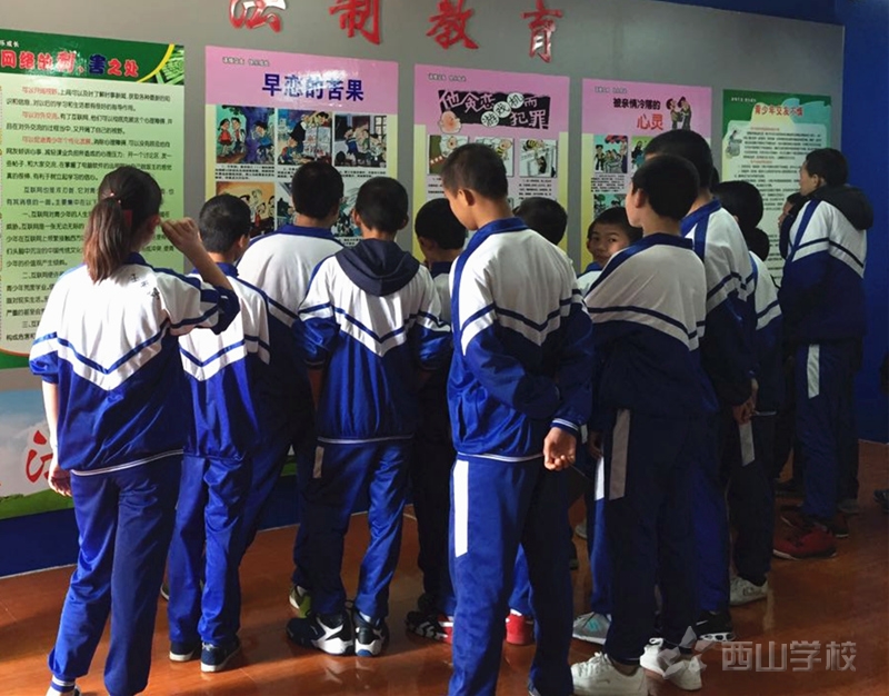 学法用法,做遵纪守法好少年!