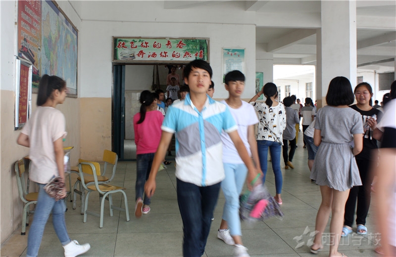 中考第二天顺利结束——学生沉着应对,并反映数学难度适中,理化难度中上