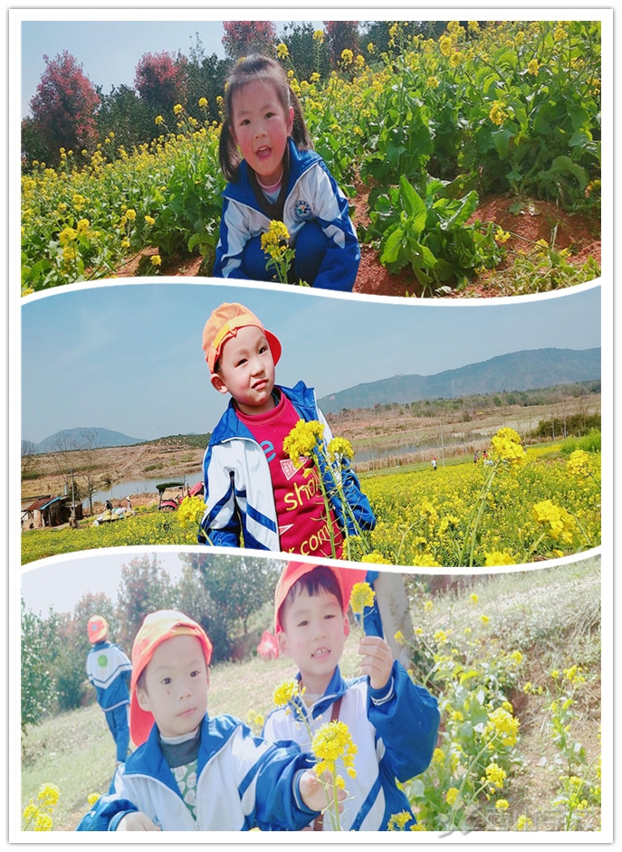 “回归自然  拥抱春天”——江西省西山学校幼儿园半日春游活动