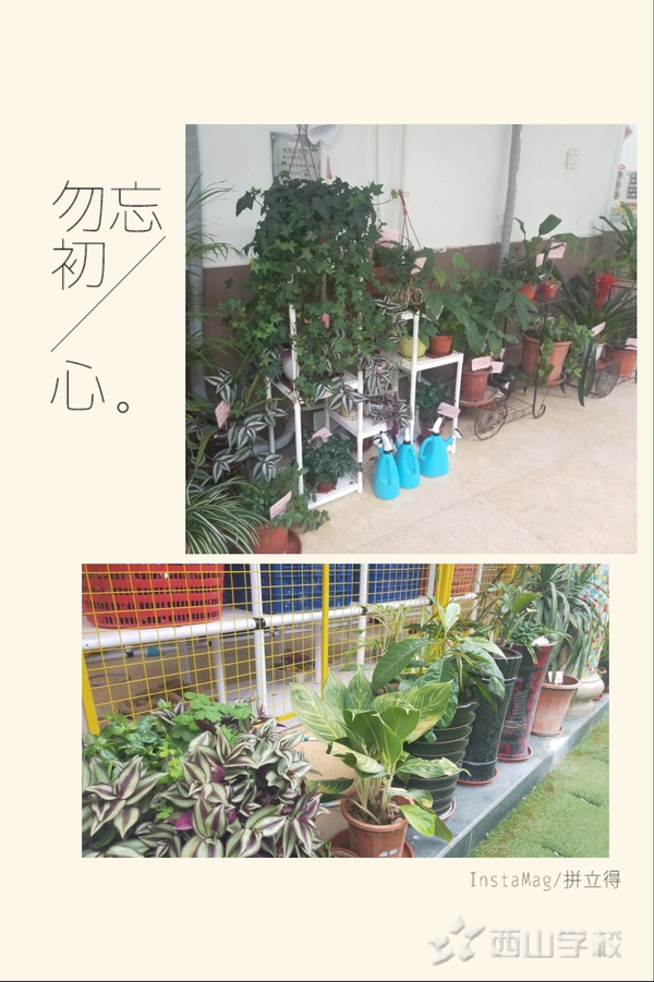 安全卫生 点滴做起——福清西山学校幼儿园