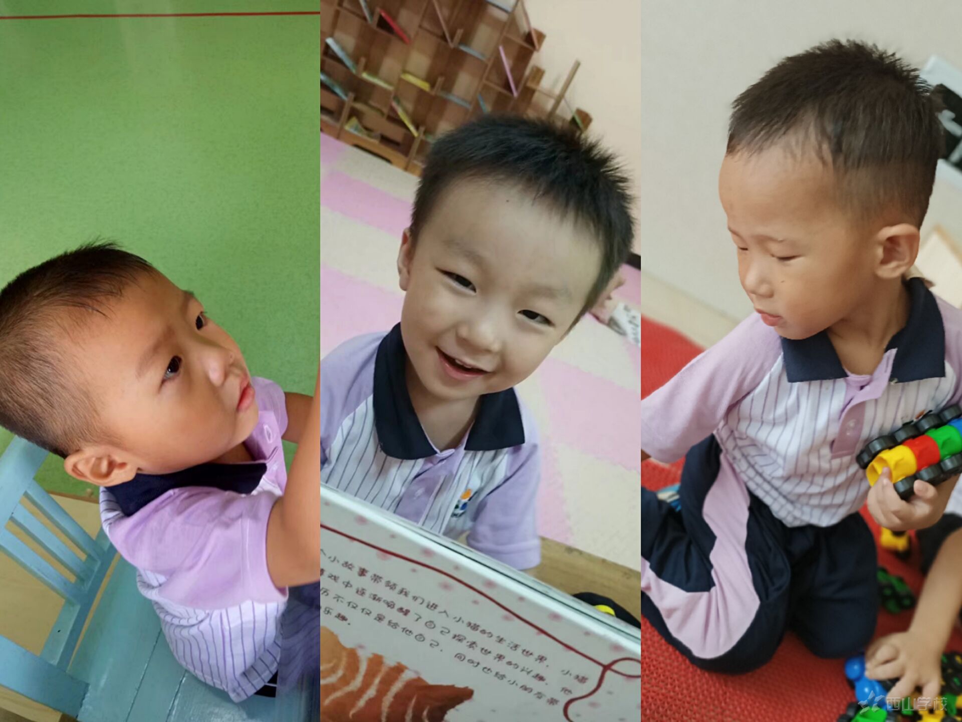 ��ܰ���£�����ʦ������������ɽѧУ�׶�԰��ѿ�İ�