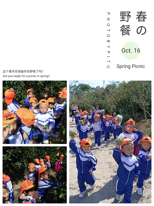 寻觅秋天,享受童趣—福清西山学校幼儿园蒙芽四班