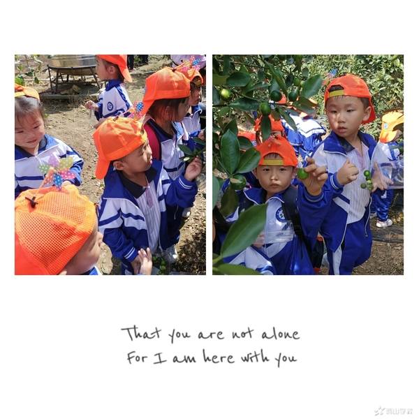 寻觅秋天,享受童趣—福清西山学校幼儿园蒙芽四班