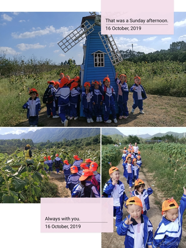 寻觅秋天,享受童趣—福清西山学校幼儿园蒙芽四班