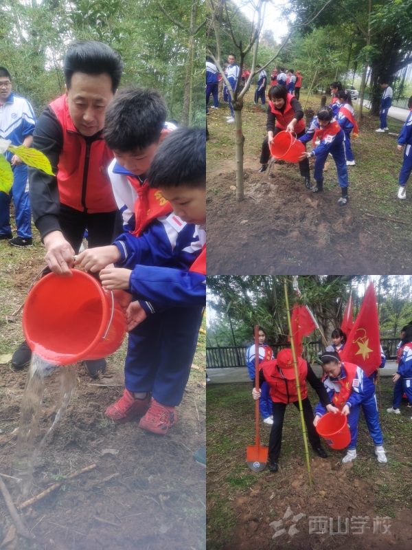 踐行綠色行動，身邊小事先行——福清西山學校小學部2022年植樹節活動